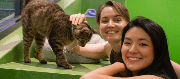 Kelise Adelaide and Lin Yin smiling and patting a tabby cat