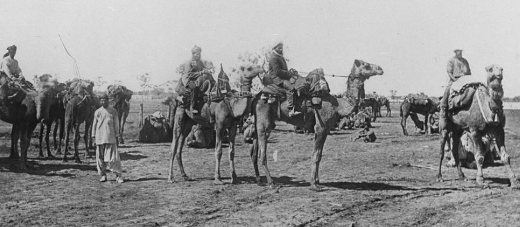 Black and white photo muslim cameleers in the desert, circa 1900