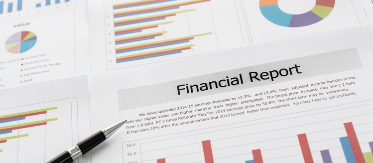 Generic financial report